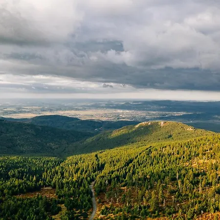 Przy Stoku In The Jungle Karpatia Lägenhet