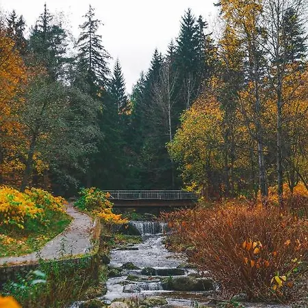 Przy Stoku In The Jungle Karpatia * 卡尔帕奇