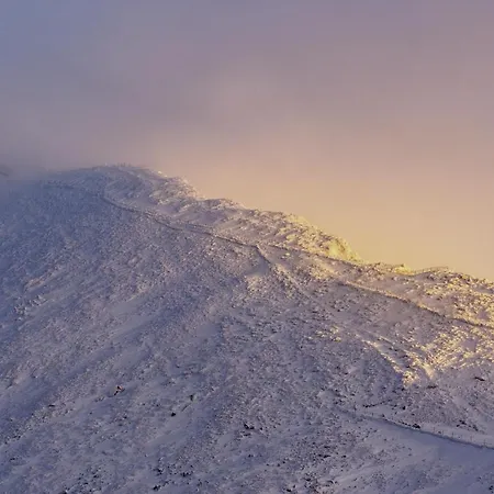 Apartment Przy Stoku In The Jungle Karpatia