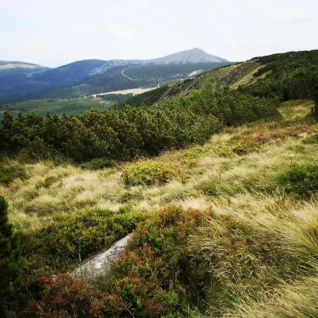 公寓 Przy Stoku In The Jungle Karpatia *