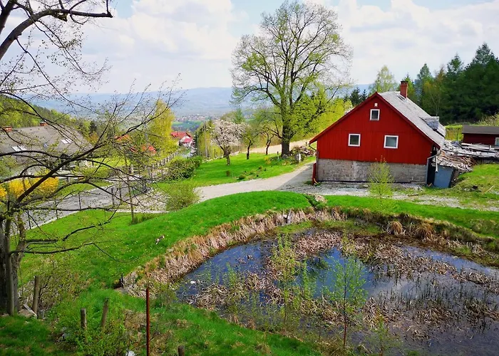 Przy Stoku In The Jungle Karpatia Apartment *