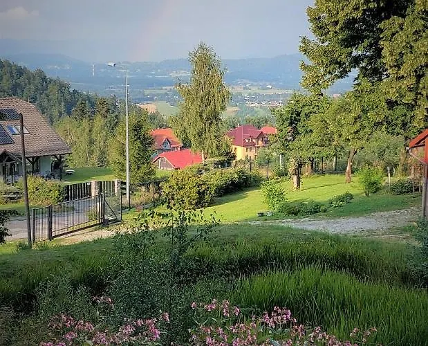 Apartment Przy Stoku In The Jungle Karpatia *