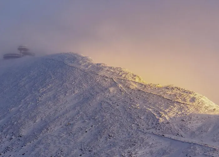 Apartment Przy Stoku In The Jungle Karpatia