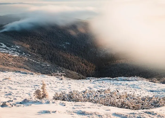 Przy Stoku In The Jungle Karpatia *