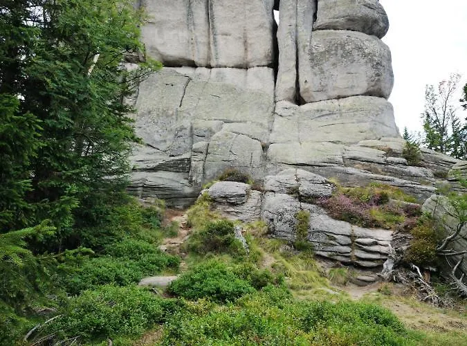 Przy Stoku In The Jungle Karpatia Apartment Karpacz